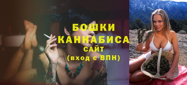 прущие грибы Волосово
