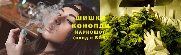 ГАЛЛЮЦИНОГЕННЫЕ ГРИБЫ Волоколамск