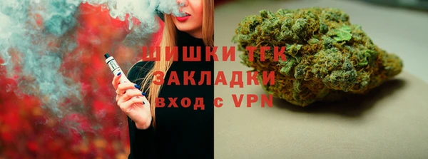 прущие грибы Волосово