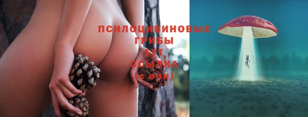 дмт Володарск