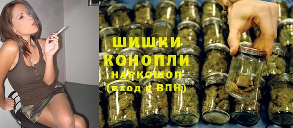 прущие грибы Волосово
