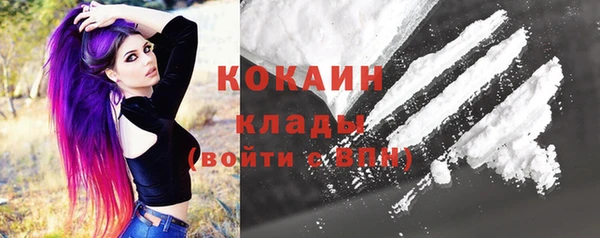 прущие грибы Волосово