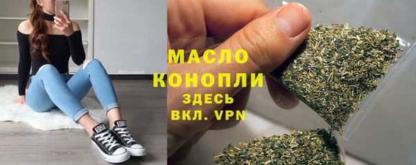 дмт Володарск