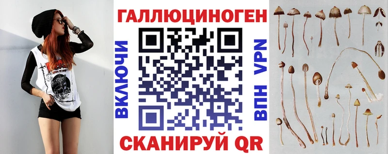 Псилоцибиновые грибы Psilocybine cubensis  Челябинск 